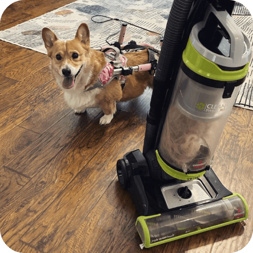 Customer clean photo 3